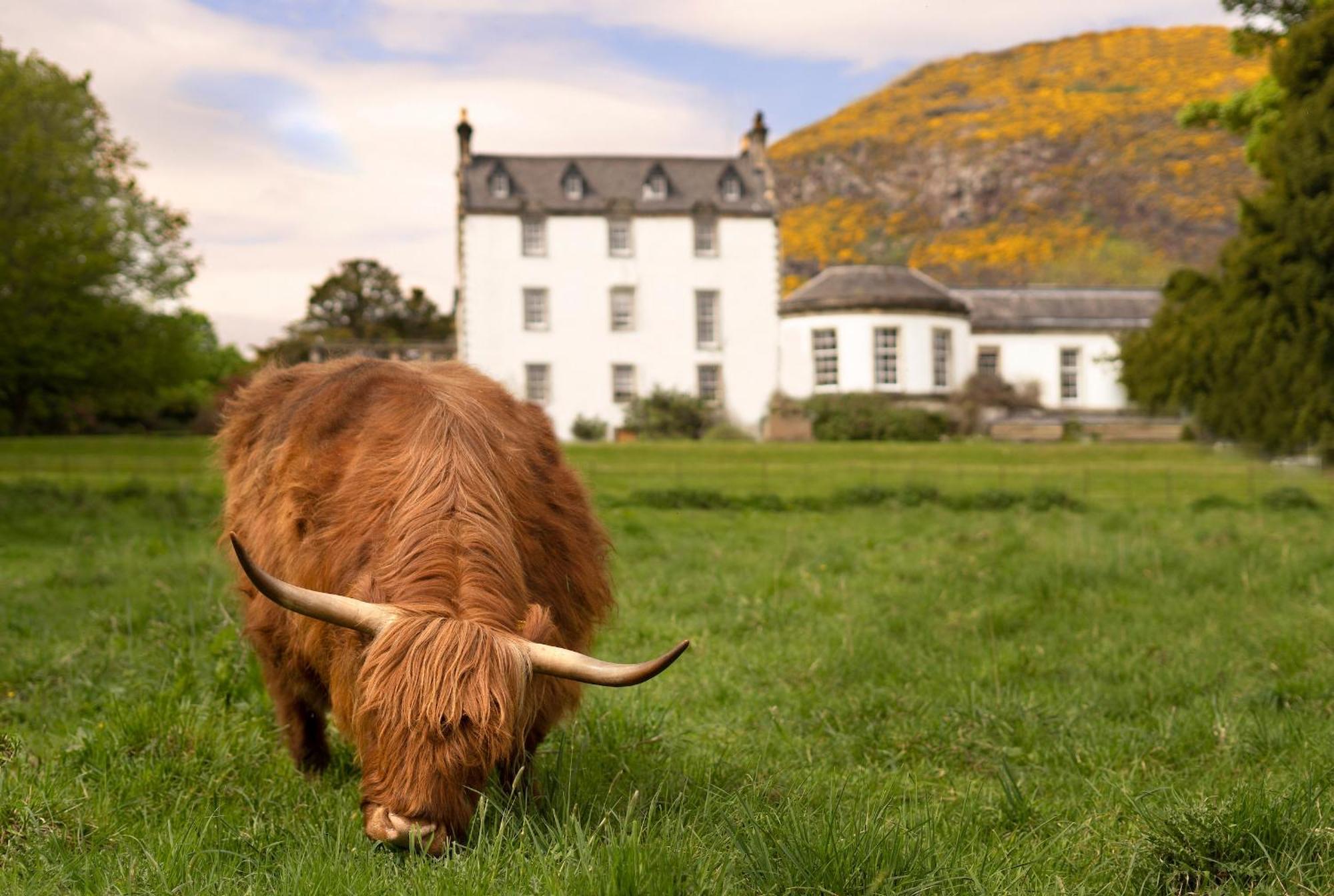 Prestonfield House — Foto 1